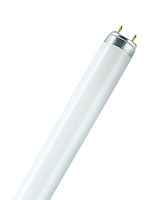 Лампа линейная люминесцентная ЛЛ 36вт L 36/830 G13 тепло-белая Osram | код. 4050300517896 | LEDVANCE