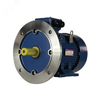 Электродвигатель 5АИ 132 S4 7.6/1500 IM 2081 | код 01.01.214399 | Элком