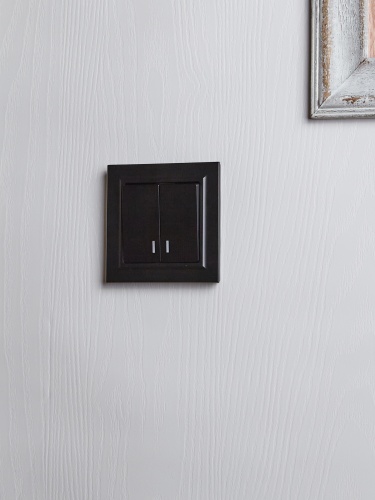 BRITE Выключатель 2-клавишный с индикацией 10А ВС10-2-1-БрЧ черный | код BR-V20-1-10-K02 | IEK фото 7