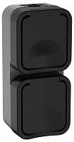Розетка 2-местная вертикальная TORS 16А IP55 графит | код TS-R26-16-55-V-K53 | IEK