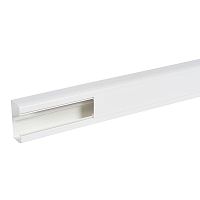 Кабель-канал DLP 50x105 - 1 секция - 1 крышка 65 мм - длина 2 м - белый | код. 010429 | Legrand