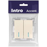 Выключатель Intro Accent 6-105-02 двойной с подсветкой, 10А-250В, IP20, СУ, AL/CU, слоновая кость | код Б0063509 | ЭРА