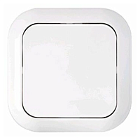 Беларусь Выключатель одноклавишный скрытый (С16-122) | код Выключатель С1 6-122 | БелТИЗ