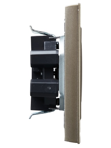 BRITE Роз. 2-я без з/к с з/ш 10А в сб. РСш12-2-БрШ шамп. IEK | код BR-R23-10-K37-F | IEK фото 6 BRITE Роз. 2-я без з/к с з/ш 10А в сб. РСш12-2-БрШ шамп. IEK | код BR-R23-10-K37-F | IEK фото 6