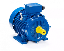 Электродвигатель 100 LB2-SDN- IM B3 4/3000 Китай (ESQ) | код 01.05.221579 | ESQ