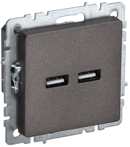 BRITE Роз. USB A+A 3,1А РЮ10-1-БрТБ бр. IEK | код BR-U21-D31-K45 | IEK