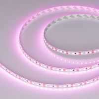 Лента RT-A120-8мм 12V Pink (9.6 W/m, IP20, 2835, 5м) (Открытый) | код 015897(2) | Arlight