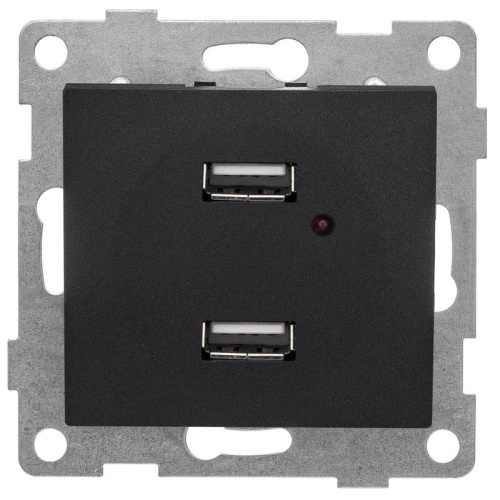Розетка USB 2-м СП Bravo механизм графит | код С10USB2-010 | GUSI