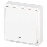 Выключатель Эксперт 11-1522-01 с подсветкой IP55 10АХ-250В СУ бел. Эра Б0063279