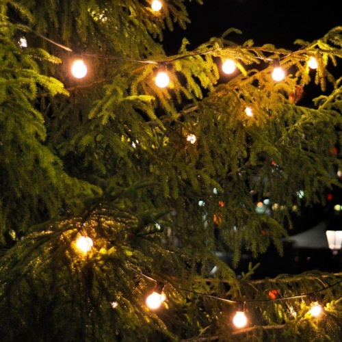 Гирлянда светодиодная садовая "Шары" Solar 30LED бел. IP44 на солнечн. батарее | код. GS032 | GAUSS фото 5