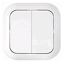 Беларусь Выключатель двухклавишный скрытый (С56-124) | код Выключатель С5 6-124 | БелТИЗ