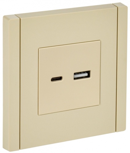FORTE&PIANO Роз. USB A+C 3,1А FP450 ван. IEK | код FP-U22-D31-K10 | IEK