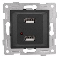 GUSI Ugra механизм розетки USB, двойной, скрытая установка. Цвет графит. | код С11USB2-010 | GUSI ELECTRIC