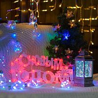 Фигура светодиодная "С НОВЫМ ГОДОМ" 35LED красн. 42х19см | код 501-003 | Neon-Night