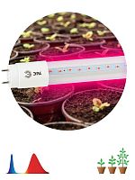 Лампа светодиодная FITO-18W-RB-Т8-G13-NL 18Вт T8 линейная 96LED 2835 IP20 35000ч для растений/для подсветки мясных витрин красн./син. спектр стекло | код Б0042990 | Эра