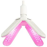 Фитолампа для растений светодиодная FITO-36W-RB-E27-FOLD 4-х лепестковая красно-синего спектра 36 Вт Е27 | код Б0053289 | ЭРА