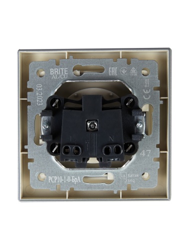 Розетка СП BRITE РСР10-1-0-БрА 10А в сборе без заземл. без защ. шторок алюм. | код BR-R10-10-K47-F | IEK фото 5