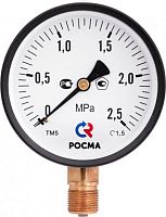 Вакуумметр радиальный ТВ-110Р.00 (-0.1-0 МРа) М10х1.0 кл.2.5 | код 00000013098 | РОСМА