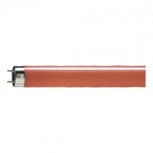 Лампа люминесцентная линейная TL-D 36Вт /15 G13 Red красная PHILIPS | код 871150072748040 | PHILIPS