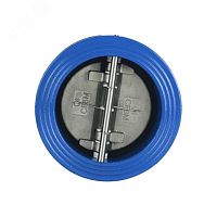 Клапан обратный Ду 250 двухстворчатый межфланцевый (корпус чугун, створки нж) | код 019-2325 | Benarmo