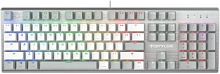 Клавиатура A4Tech Fstyler FS100 Neon механическая серый/белый USB for gamer LED (FS100) | код 2000253 | A4TECH