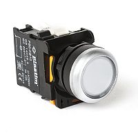 PB0-AW31B5 Кнопка управления с подсветкой, 1NO, AC/DC 24 В. (Белый) | код PB0-AW31B5 | Plastim