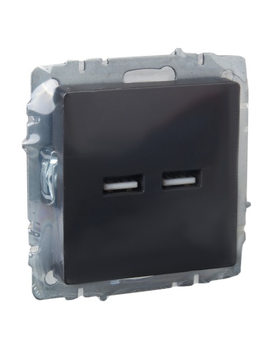 Розетка BRITE USB A+A 3.1А РЮ10-1-БрГ графит | код BR-U21-D31-K53 | IEK фото 3 Розетка BRITE USB A+A 3.1А РЮ10-1-БрГ графит | код BR-U21-D31-K53 | IEK фото 3