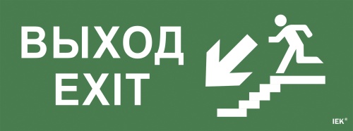 Самоклеящаяся этикетка 240х90мм "Выход/лестница вниз/фигура" для ССА 1005 | код LPC10-1-35-13-VLVNF | IEK