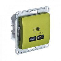 GLOSSA USB РОЗЕТКА тип-C 65Вт высокоскор.заряд. QC, PD, механизм, ФИСТАШКОВЫЙ | код GSL001027 | Systeme Electric
