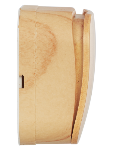 Выключатель 1-клавишный для открытой установки ВС20-1-0-ХС 10А GLORY сосна | код EVH10-K34-10 | IEK фото 4