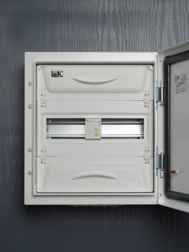 Ограничитель мощности ОМ-2P 16А 230В | код MOM10-2-016 | IEK  фото 2